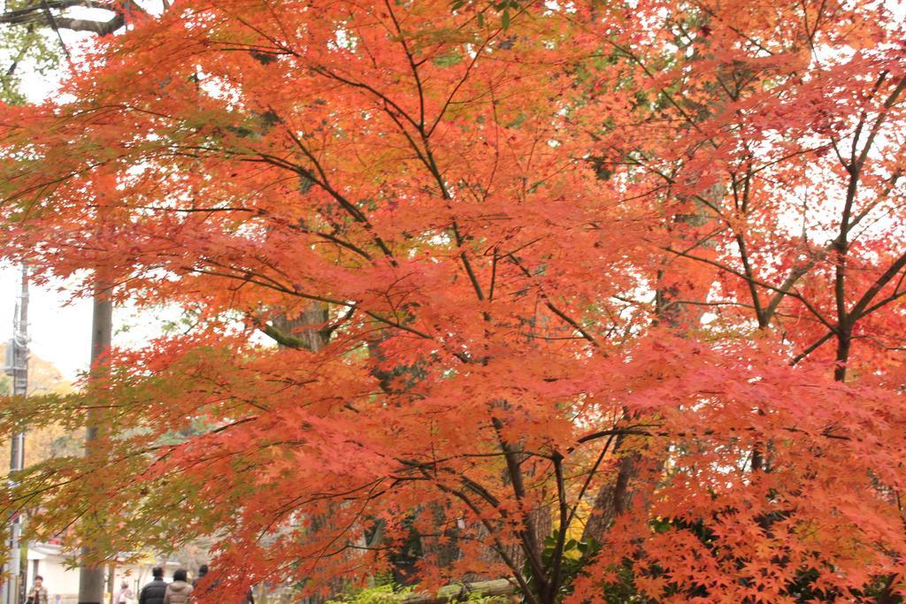 Hotel M'S Est Shijo Karasuma Kyoto Eksteriør bilde